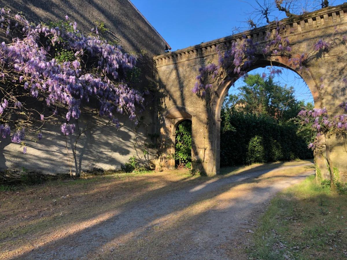 Chateau De La Mothe Saint-Sulpice-en-Pareds Экстерьер фото