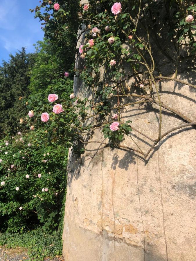 Chateau De La Mothe Saint-Sulpice-en-Pareds Экстерьер фото